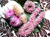 Milky �N���b�V�F���C