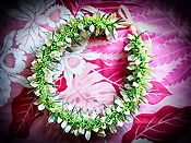 �N���b�J�X���C �L�b�g