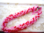 �I�[�L�b�h���C �L�b�g