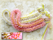 �v�������A���C �L�b�g