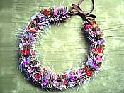 �n���C�A���n�N���C �L�b�g