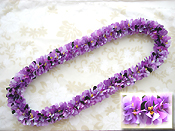 �i�j�I�I���A���C