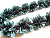 �i�E�p�J���C