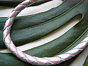 �_�C�������h�E�B�[�u���C �L�b�g