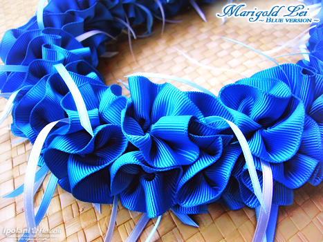 �}���[�S�[���h���C�L�b�g �u���[�o�[�W����