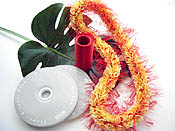 �E���E���I�n�C�A���C ���C�L�b�g