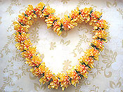 �C�G���[�}�����C �L�b�g