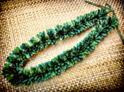 ���X�J�X�����L�n�i���C �L�b�g