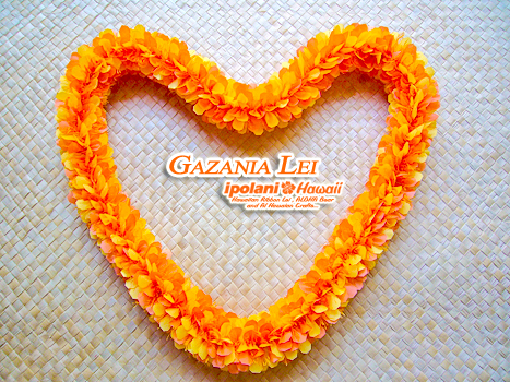 �K�U�j�A���C �L�b�g