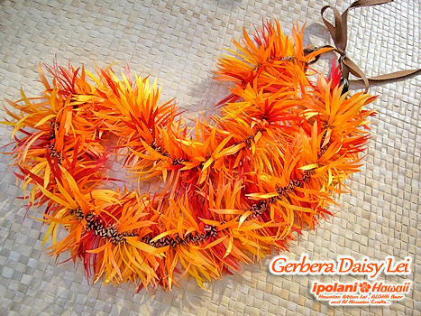 �K�[�x���f�C�W�[���C �L�b�g