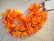 �K�[�x���f�C�W�[���C �L�b�g