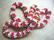 ���P���j���C �L�b�g