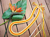 ���N�^���O�����C �L�b�g