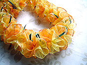 �V�A�[���[�Y���C �L�b�g