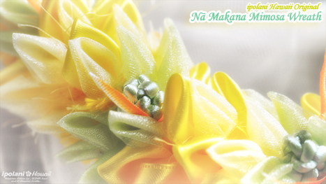 ipolani Hawaii�I���W�i�� Nā Makana Mimosa Wreath�L�b�g