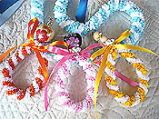 �X�p�C���� ���b�N���b�N�V�����[�c���[ �X�g���b�v�L�b�g